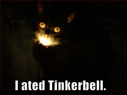 Image result for I ate tinkerbell
