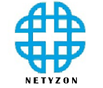 netyzon_com