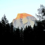 siliconvalleyfinds