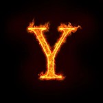 yockie