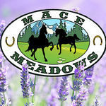 macemeadowsinn