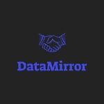 data_mirror_online_store