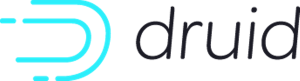 Druis project logo