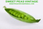 lisa_sweet_peas_vintage