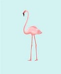 parispinkflamingo