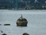 jennifer_piehl88