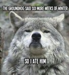 poppa77wolf