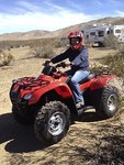 rockhound_dog