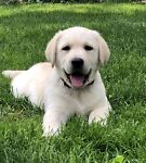 tobytan2