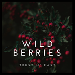 wildberries_sl.97