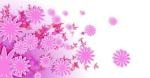 pink*emporium