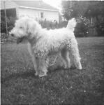 remo48