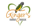 gingersparrotrescue