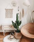 bamboobones-100