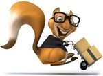 thesquirrelsden