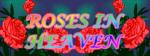 roses_in_heaven_4me