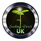 seedlings_direct