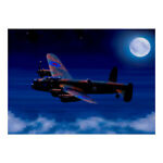 *night_fliers*llc