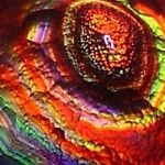 fireagate