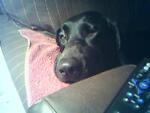 amiable1