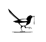 *magpieinthesky*