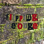 flipping_george