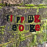 flipping_george