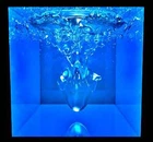 liquidorg