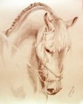 ij-fineart