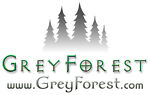 the-grey-forest