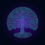 new_spin_boutique