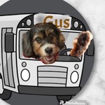hoponthebusgus