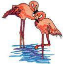 pinkflamingobay