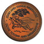 whitmore_coins_tokens_medals