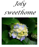joly_sweethome