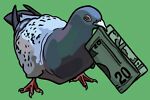 pigeonpicker