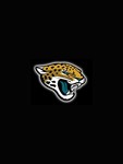 jags1185