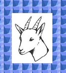 atypicaloldgoat