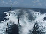 out2seafishing