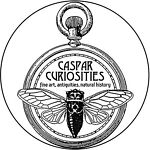 casparcuriosities