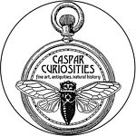 casparcuriosities