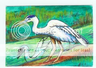 Swan
