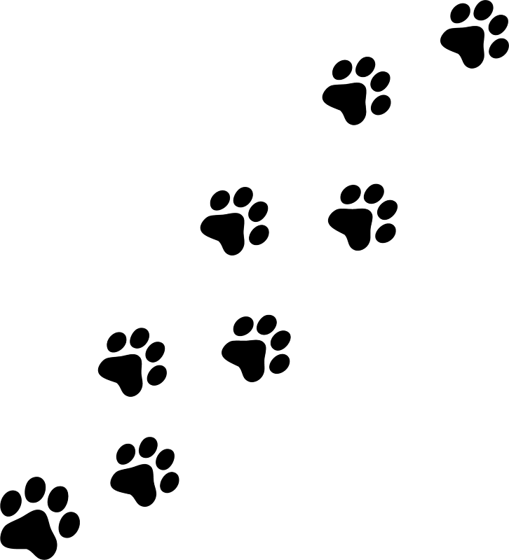 Image result for dog prints