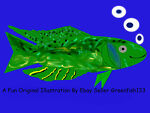 greenfish133