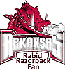 touchdownarkansas