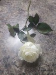 just4u-especially