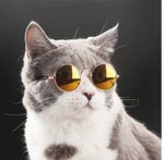 uniquesunglasses