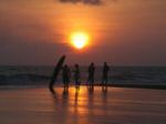 surfers*closet