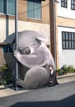 creativekoalas