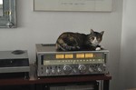 boise_vintage_hifi_and_radio